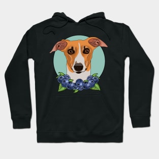 Koda the whippet Hoodie